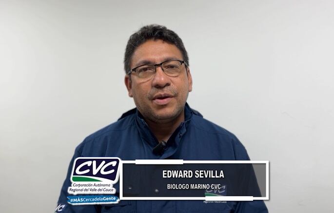 Edward Leonardo Sevilla, biólogo marino de la CVC.
