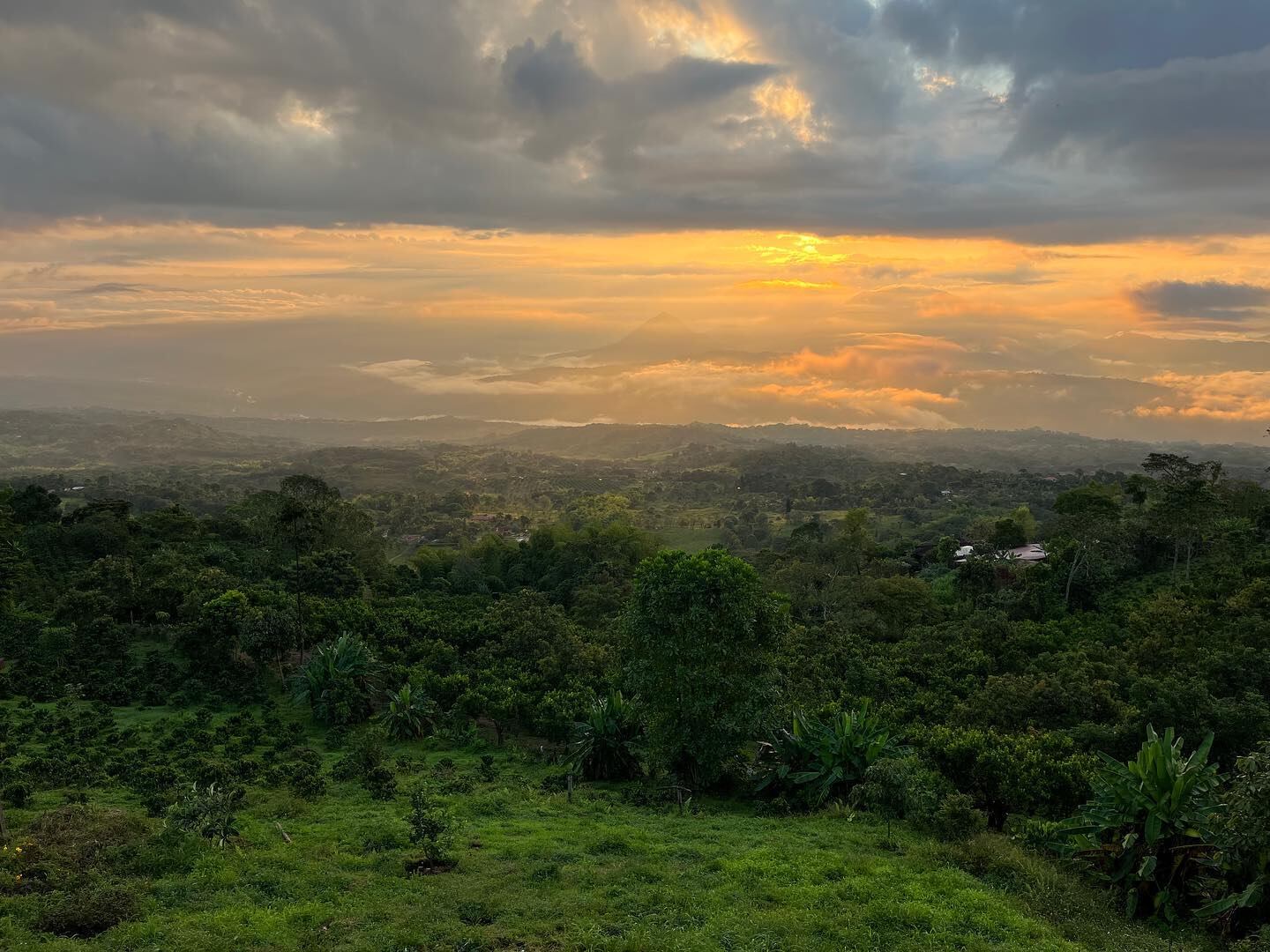 Vía Facebook: Biosuroeste