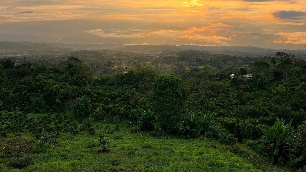 Biosuroeste ha creado un entorno en el que tanto locales como turistas pueden conectarse con la naturaleza y aprender sobre la historia ancestral del territorio.