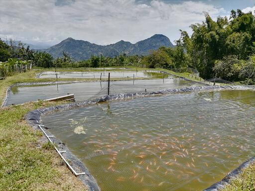 Se trata de aprovechar la temporada de Semana Santa con el propósito encontrar oportunidades de crecimiento y ejecutar sus iniciativas.