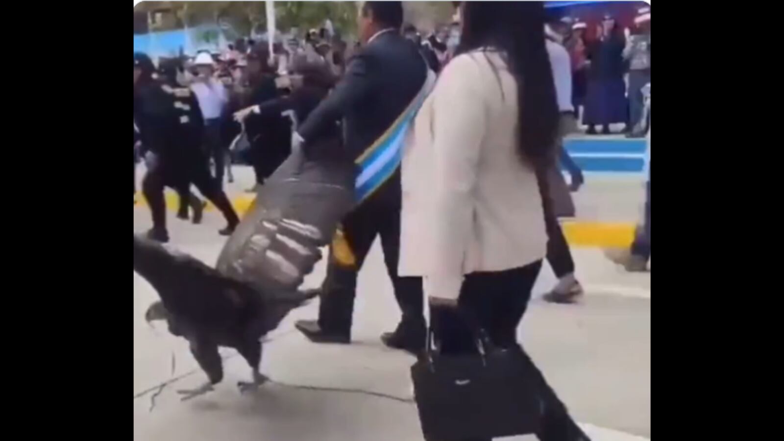 El hecho ha sido repudiado en las redes sociales.