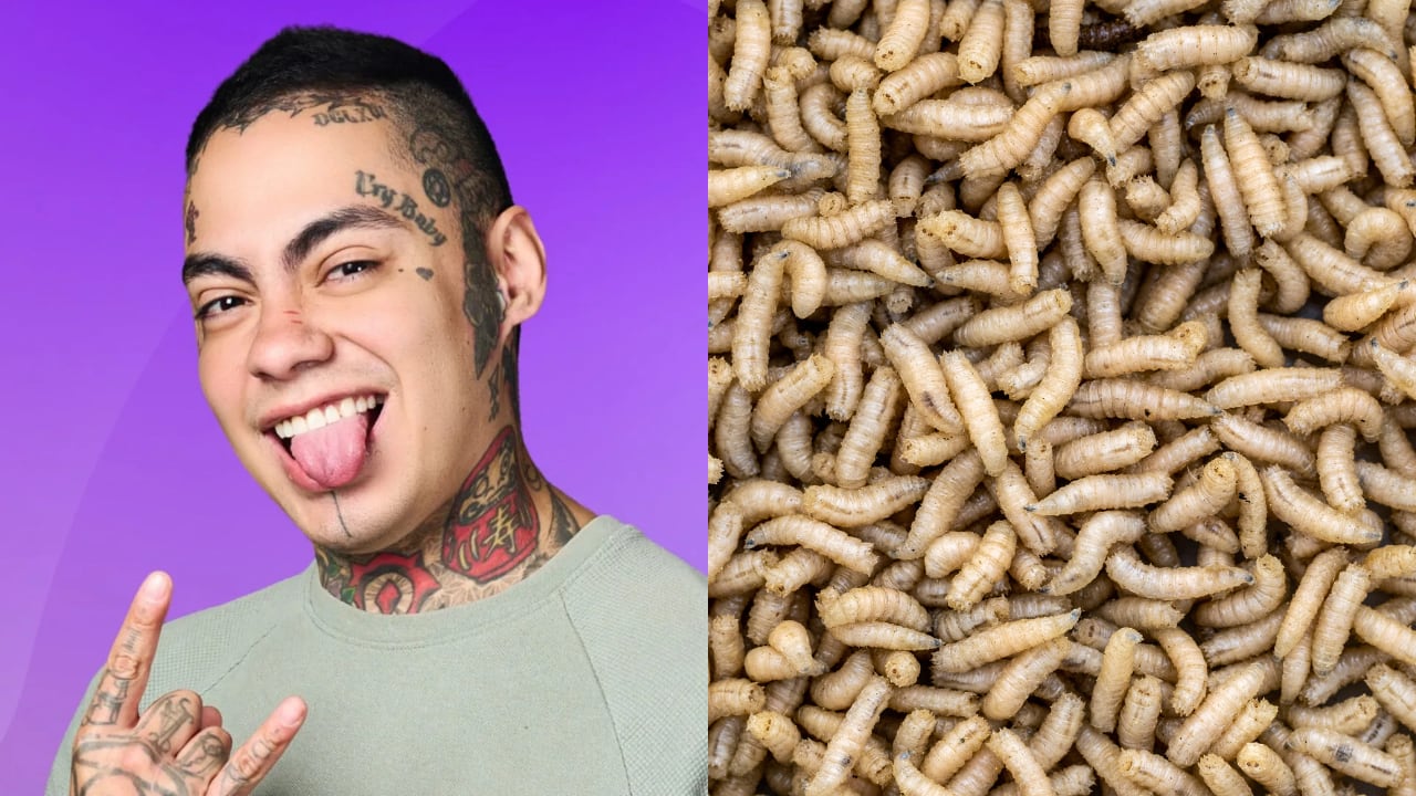 El creador de contenido cumplió con el castigo que le puso Johanna Fadul.