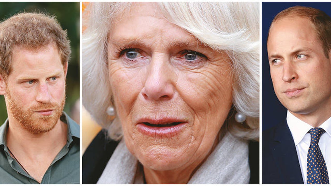 Harry y su hermano están molestos con Camilla porque su biografía autorizada deja a su madre Diana de Gales como una loca, deshonesta, hipócrita que se exhibía con sus amantes delante de sus hijos.