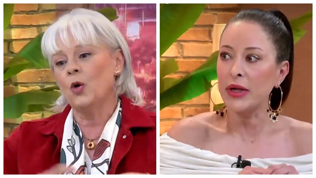 María Cecilia Botero y  Flavia Dos Santos expusieron las amenazas que recibieron y lo que tuvieron que hacer.