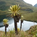 Parque Nacional Natural Las Hermosas. Laguna Las Mellizas.
