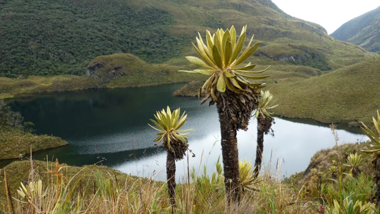 Parque Nacional Natural Las Hermosas. Laguna Las Mellizas.