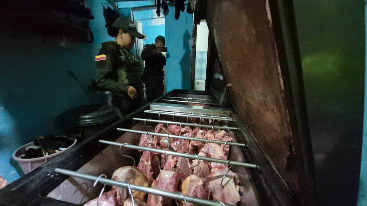 Desmantelan un matadero clandestino y capturan a diez personas por la venta ilegal de carne de caballo en Bucaramanga.