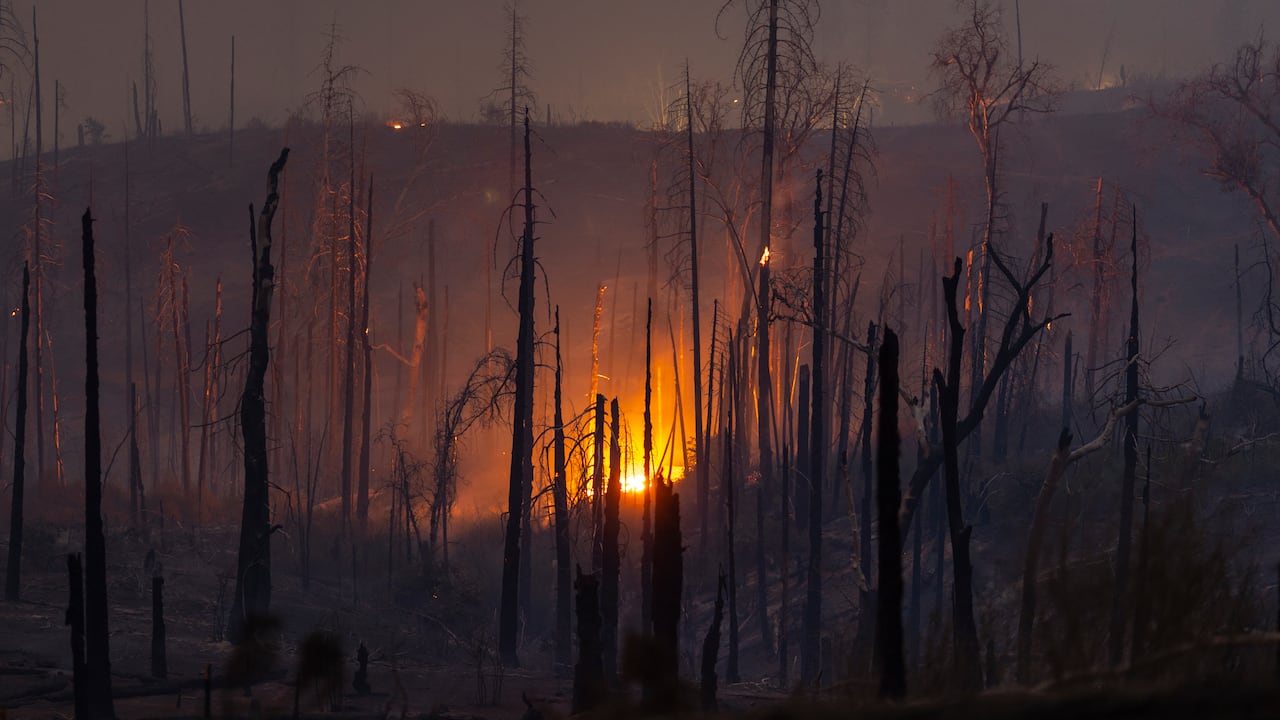 Las llamas se desataron el viernes en el centro de California y arrasa partes de Estados Unidos afectadas por una severa ola de calor, según los bomberos del estado.