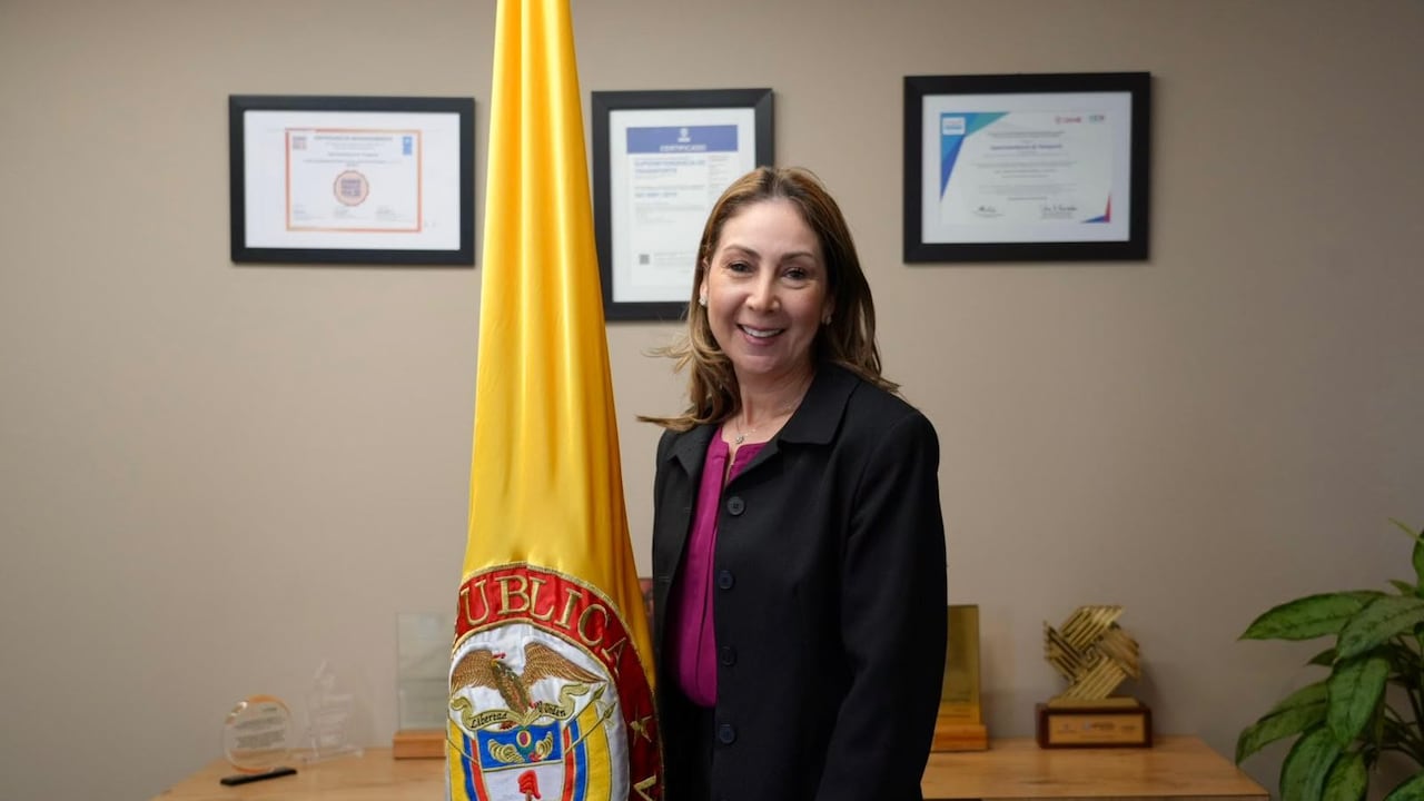 Ludmila del Carmen Vergara Rosales, nueva superintendente de Transporte.