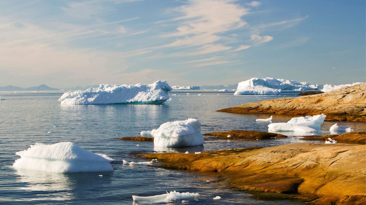 Calentamiento global afecta a los ecosistemas marinos.