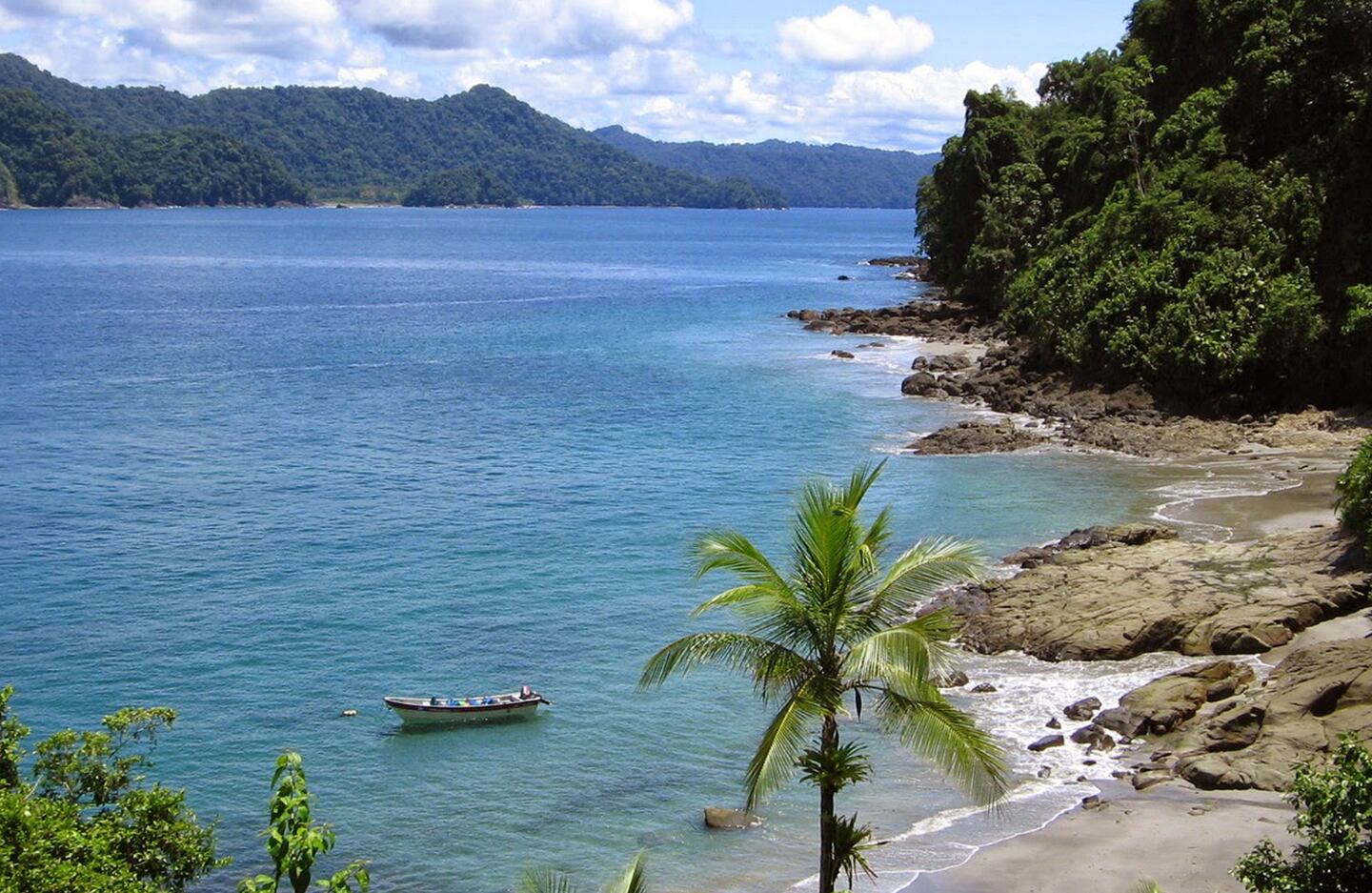 El Parque Nacional Natural de Utría es el lugar con mayor cantidad de tortugas marinas en todo el Pacífico colombiano. En sus playas se puede hacer turismo comunitario, conocer las estrategias de conservación de indígenas Embera y pueblos afrocolombianos, sus historias de resistencia y el trabajo de preservación de fauna de la zona. Foto: Cortesía Tips para tu Viaje.