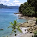 El Parque Nacional Natural de Utría es el lugar con mayor cantidad de tortugas marinas en todo el Pacífico colombiano. En sus playas se puede hacer turismo comunitario, conocer las estrategias de conservación de indígenas Embera y pueblos afrocolombianos, sus historias de resistencia y el trabajo de preservación de fauna de la zona. Foto: Cortesía Tips para tu Viaje.
