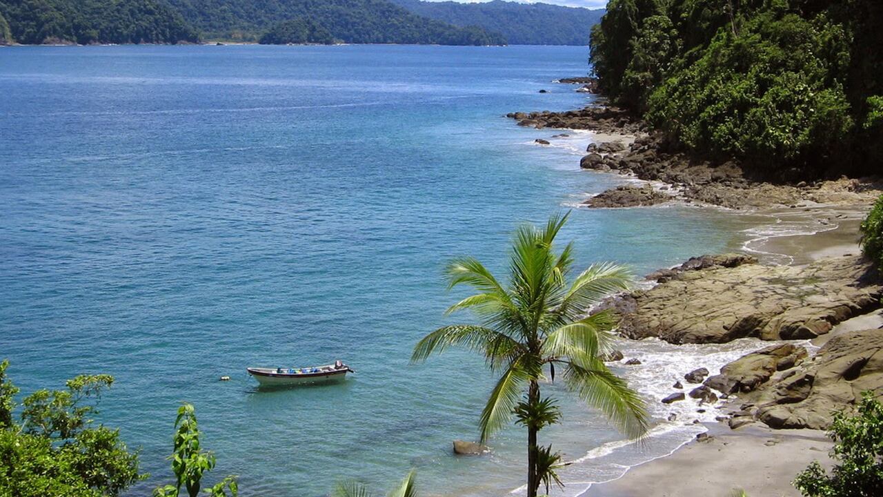 El Parque Nacional Natural de Utría es el lugar con mayor cantidad de tortugas marinas en todo el Pacífico colombiano. En sus playas se puede hacer turismo comunitario, conocer las estrategias de conservación de indígenas Embera y pueblos afrocolombianos, sus historias de resistencia y el trabajo de preservación de fauna de la zona. Foto: Cortesía Tips para tu Viaje.