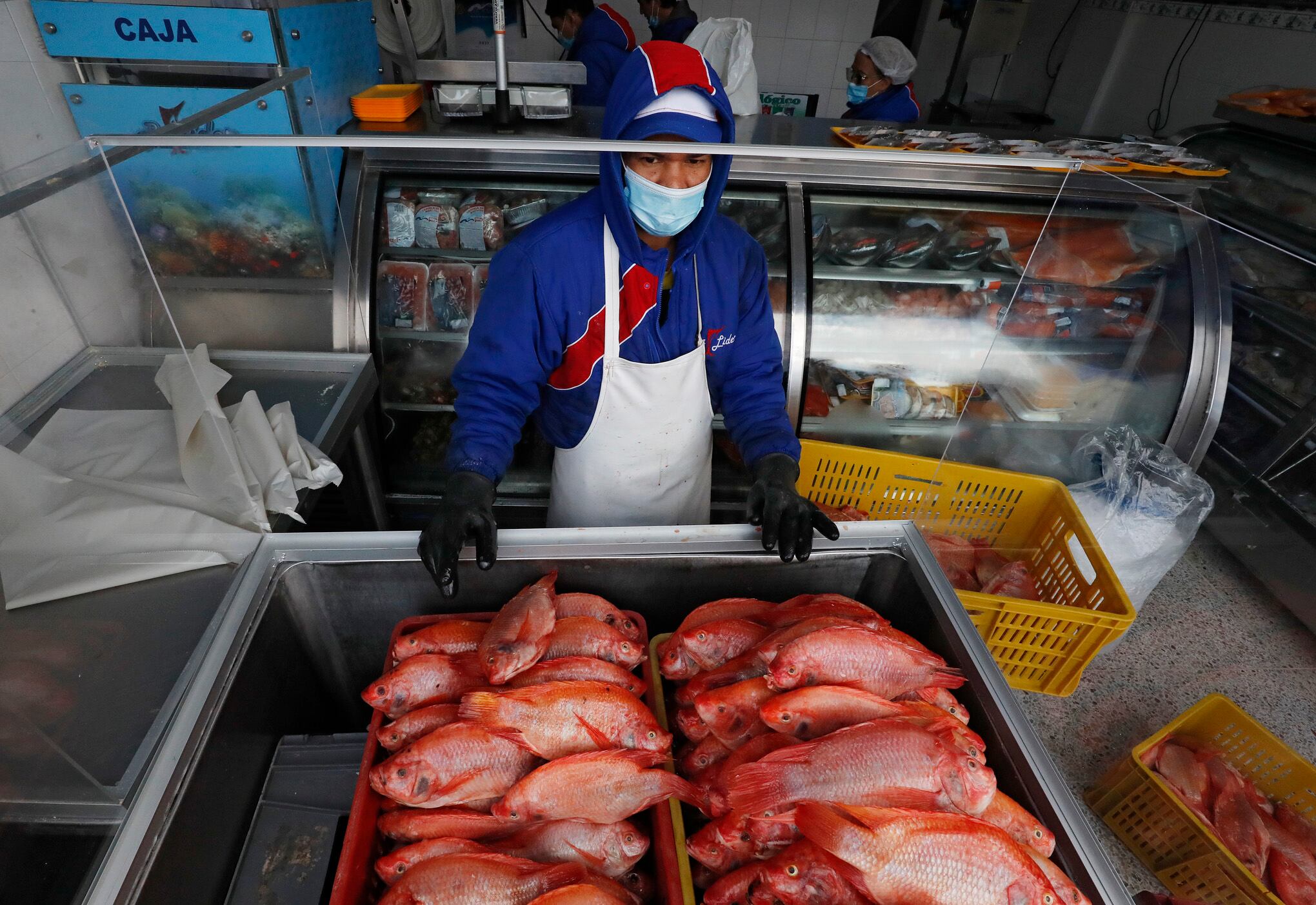 Central de Abastos de Bogotá CORABASTOS
venta de pescado de buena calidad en Semana Santa
canasta familiar alimentos
