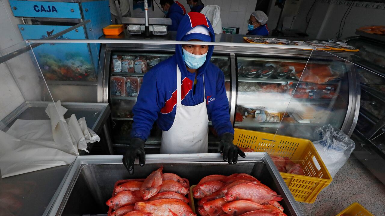Así están los precios del pescado para Semana Santa en Corabastos.