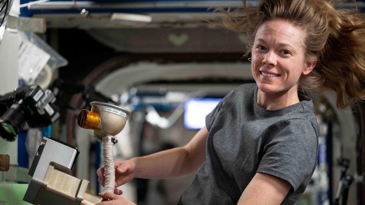 Las células humanas en el espacio presentaron mayor actividad que agotó sus reservas, menor capacidad de regeneración y mayor daño molecular.