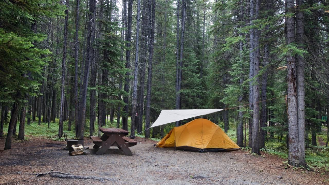 El desenlace fatal ocurrió el 5 de octubre de 2003, mientras la pareja estaba acampando (imagen de referencia, no alude al caso en mención).