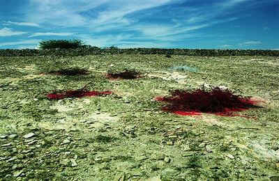 Lourdes Grobet (México) http://fotomuseo.org/fotografica_2013 