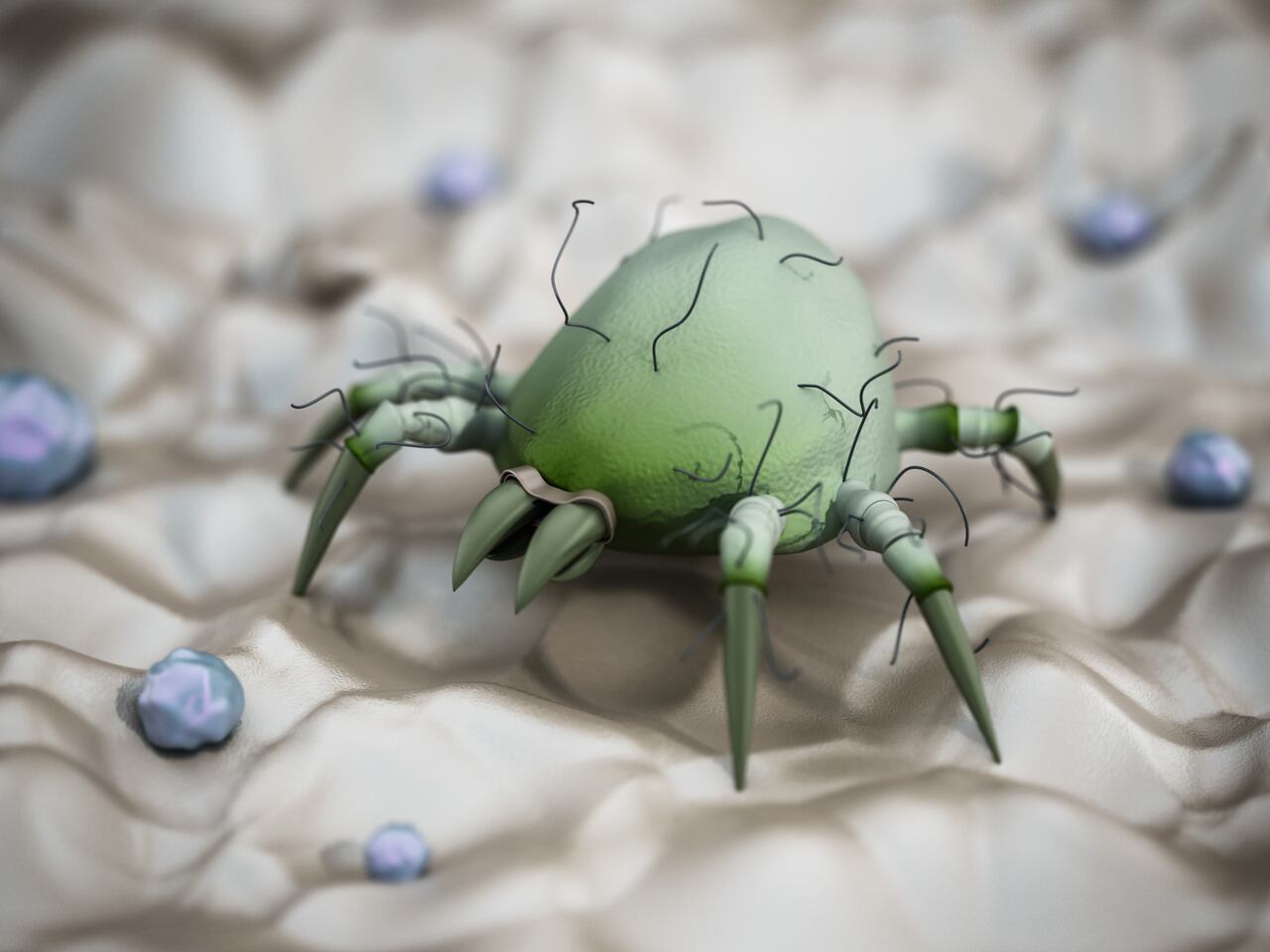 El colchón es uno de los sitios preferidos por los ácaros.