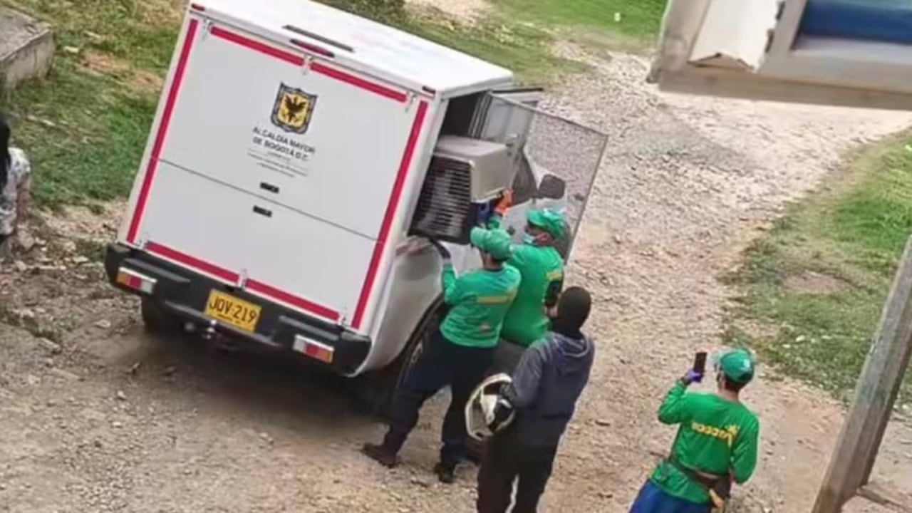 Protección y Bienestar Animal realiza acompañamiento para garantizar derechos a la mascota víctima