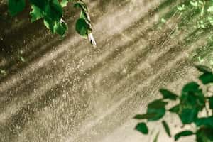 Los investigadores descubrieron que las precipitaciones y los calores extremos simultáneos se volverán más frecuentes