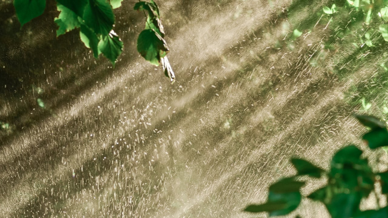 Los investigadores descubrieron que las precipitaciones y los calores extremos simultáneos se volverán más frecuentes.