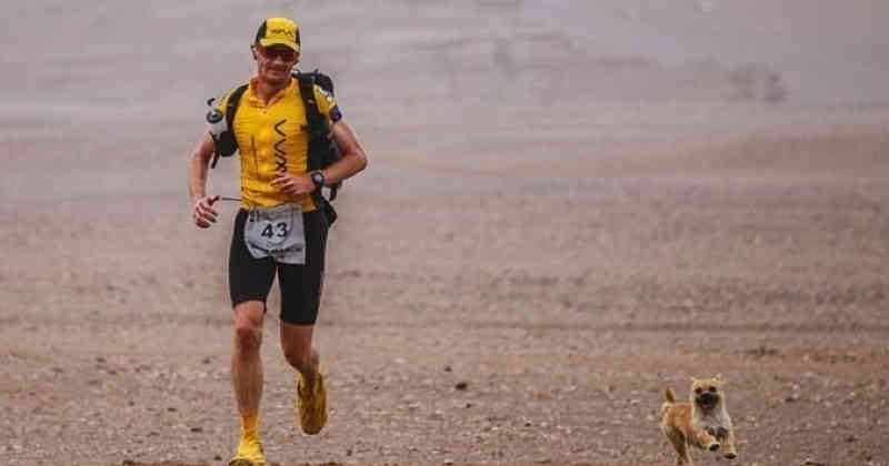 Gobi se convirtió en la compañera fiel de Dion Leonard