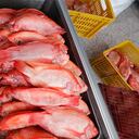 Venta de pescado en Corabastos