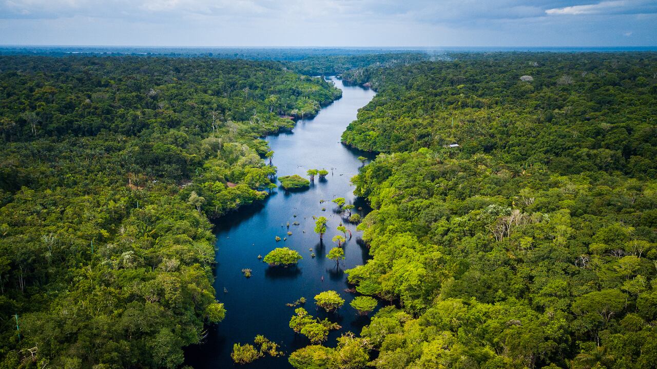 Especial Colombia País Sostenible, Trioma