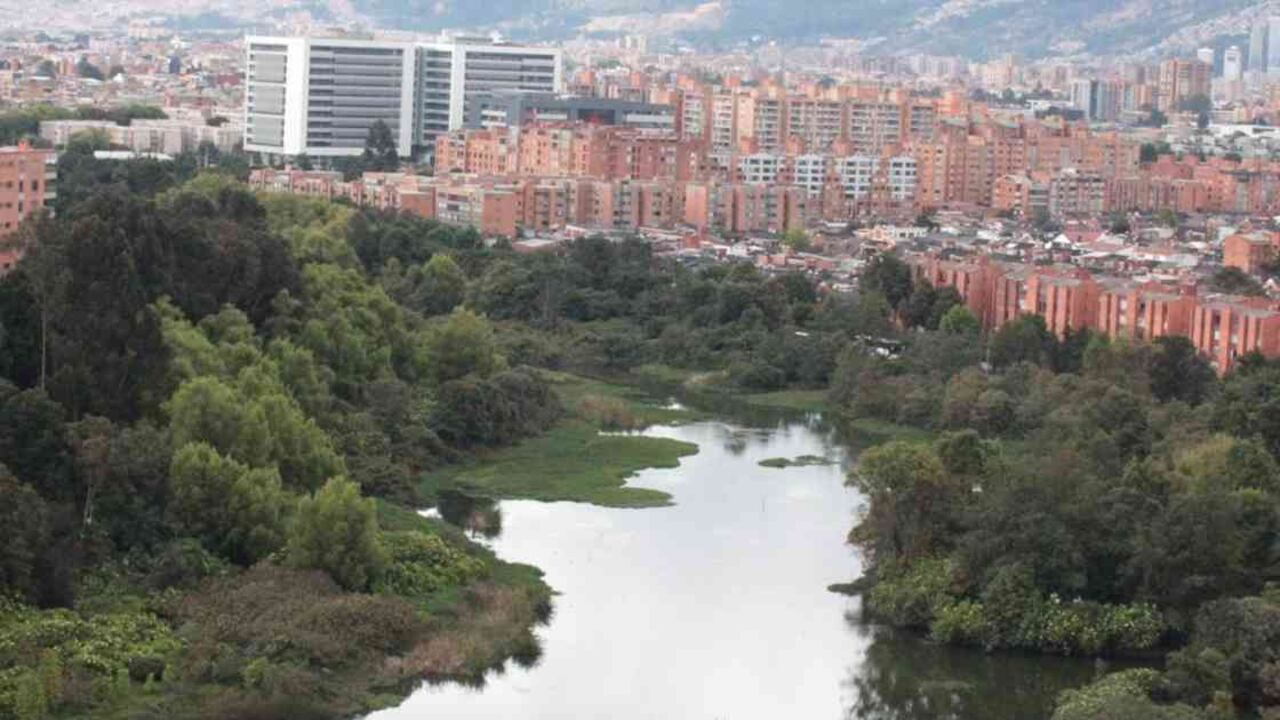 En Bogotá existen 15 humedales que ayudan a limpiar el aire y son el hábitat de centenares de animales. Aquí el humedal Córdoba. Foto: Secretaría de Ambiente de Bogotá - Colombia hoy.