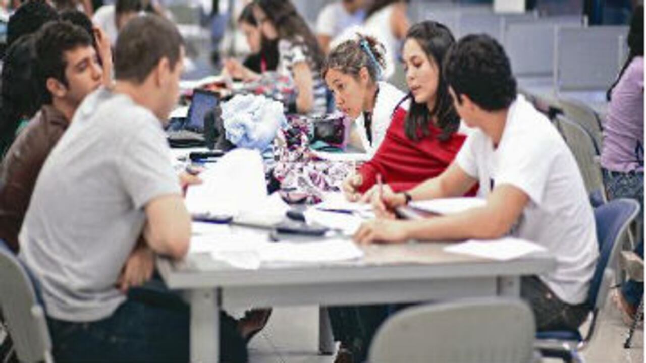 La profesionalización puede iniciarse con programas técnicos y tecnológicos.