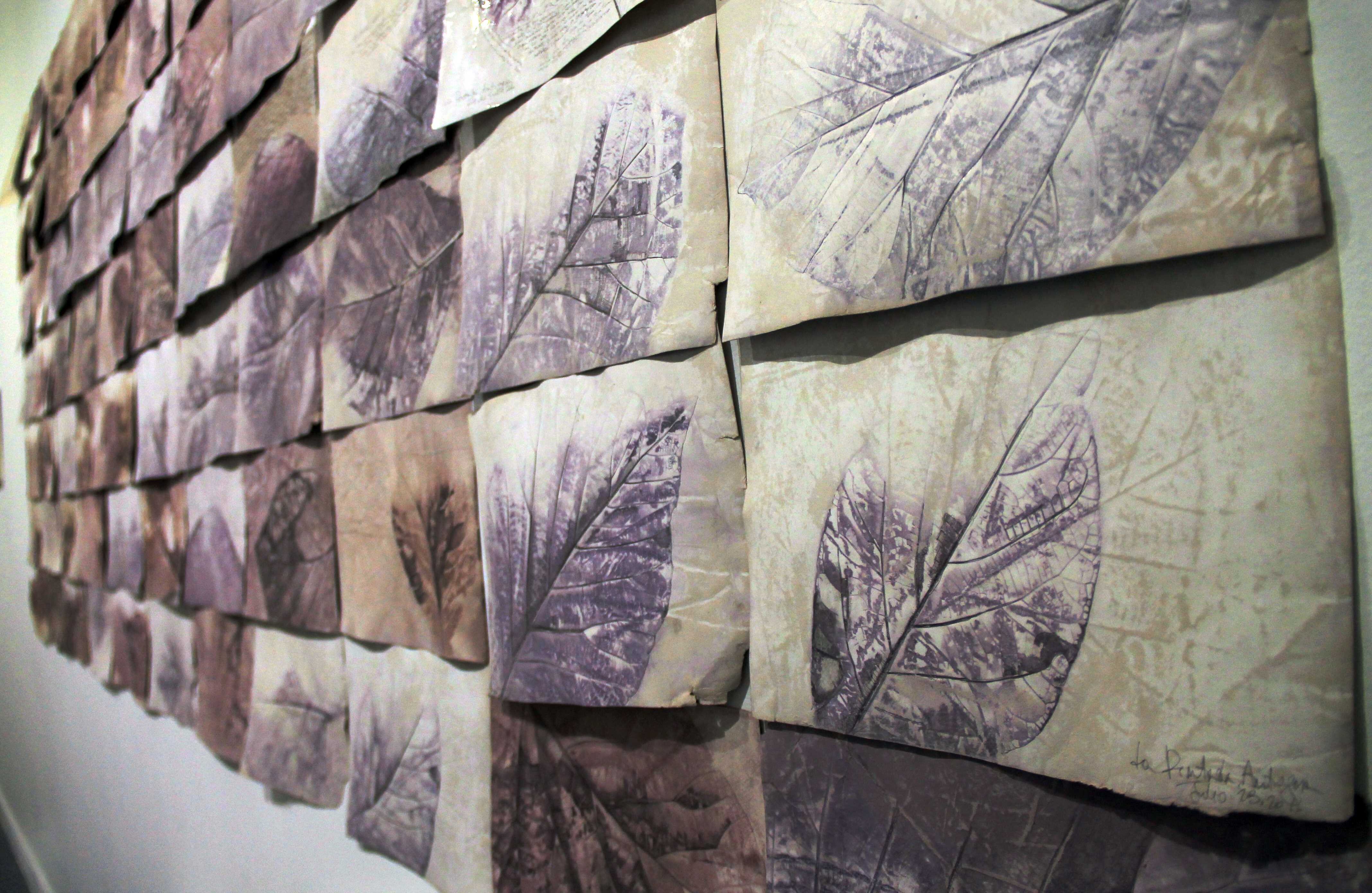 'Vestigiun Tectona Grandis'. Foto: Álvaro Tavera