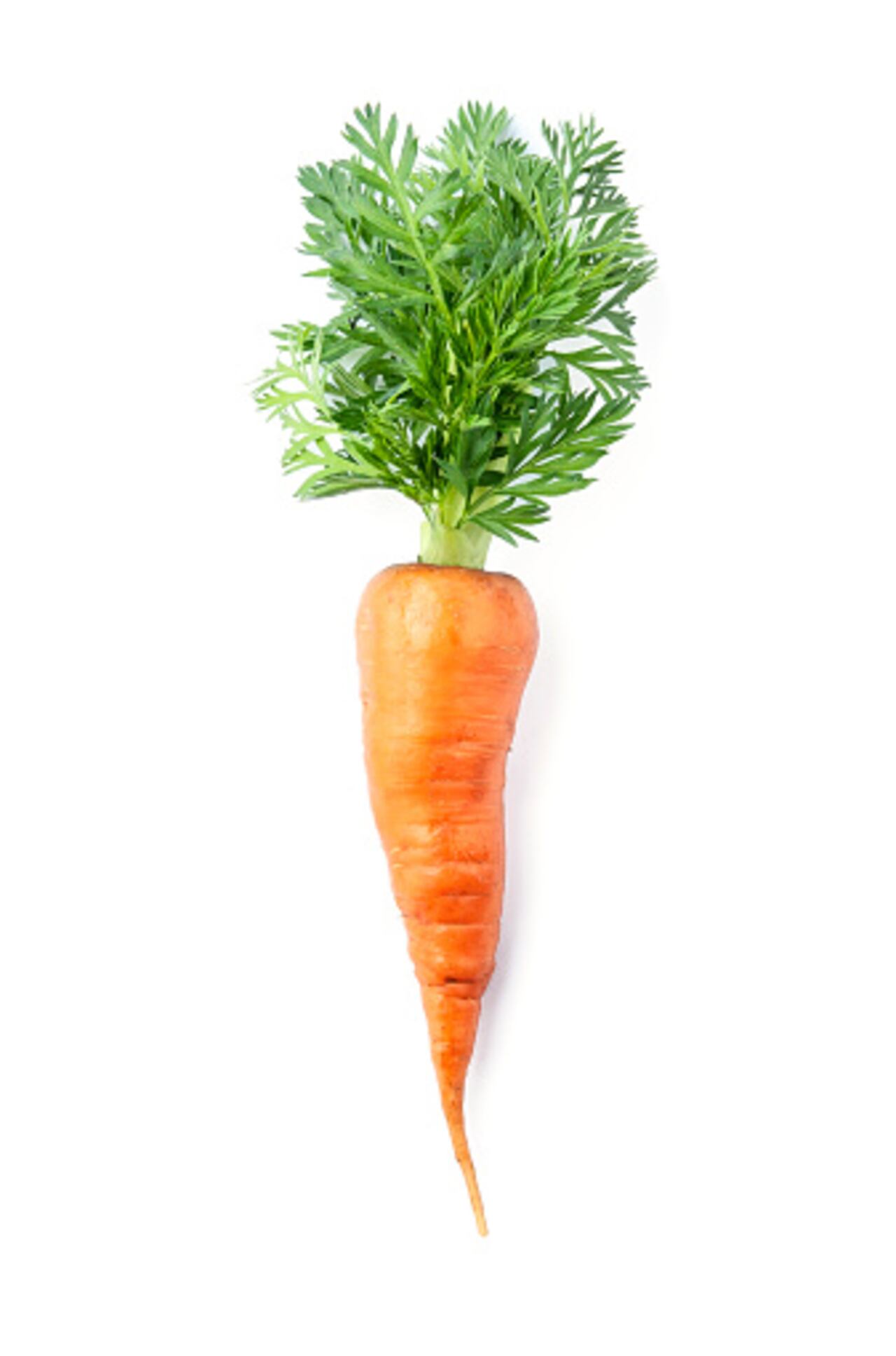 Zanahoria, hortaliza saludable.