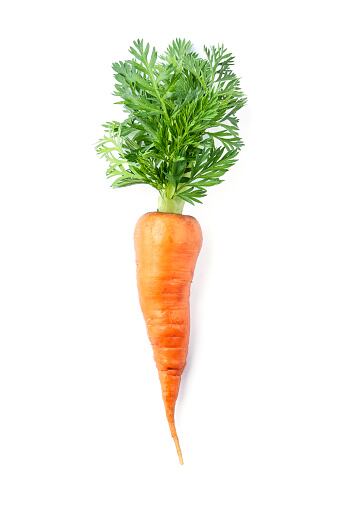 Zanahoria, hortaliza saludable.