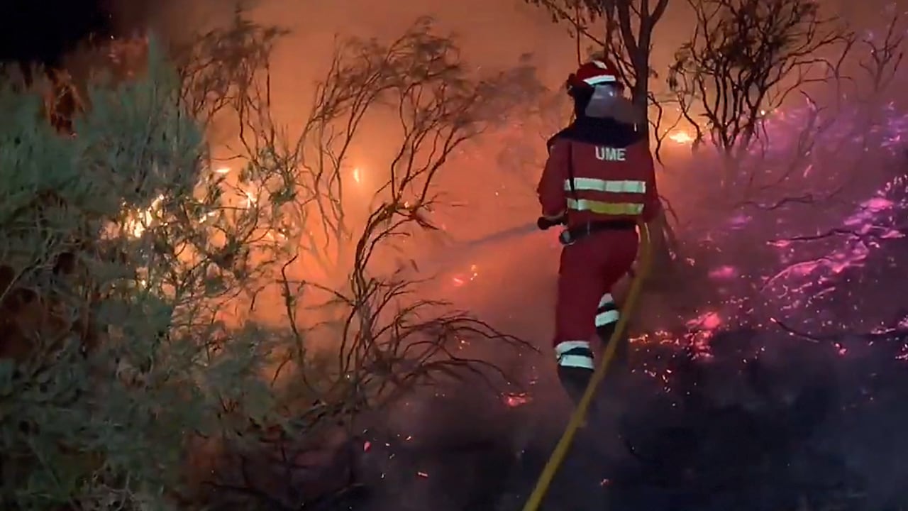 España arde: Ourense y Ávila enfrentan los incendios más graves del verano