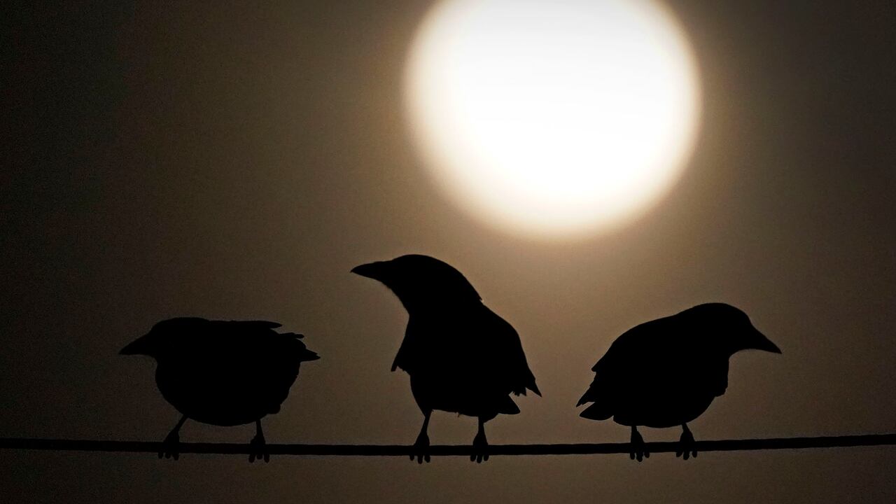 La luna se despide del año.