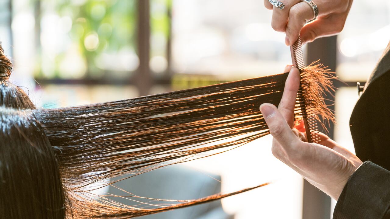 El cabello se reseca y maltrata por diferentes razones.