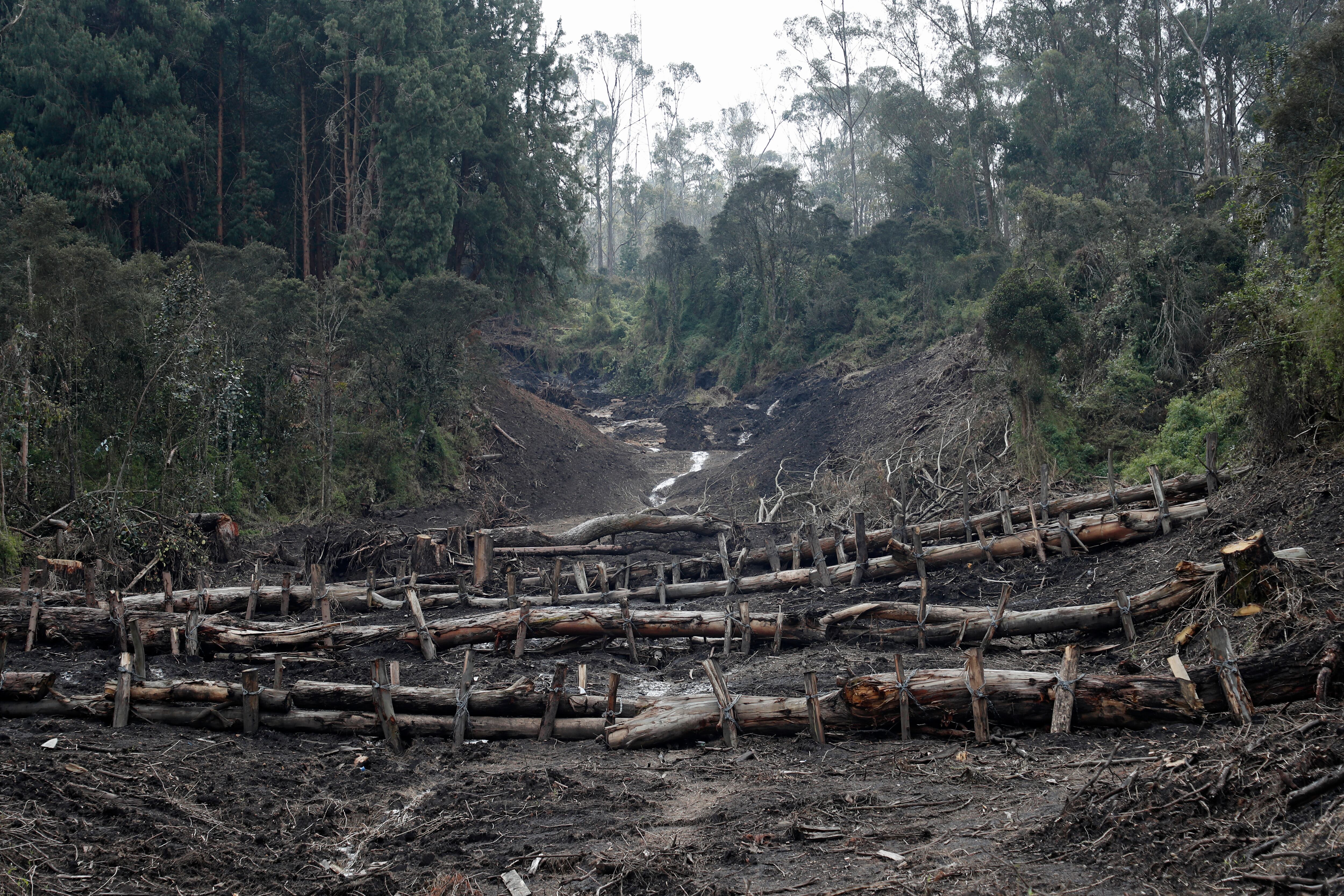 Javier Velilla, desaparecido en una avalancha