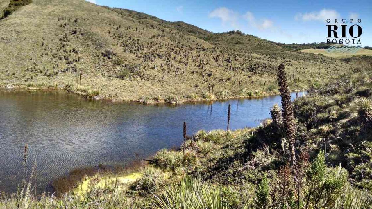 Sólo 11 kilómetros del río Bogotá cuentan con aguas cristalinas. Foto: Jhon Barros.