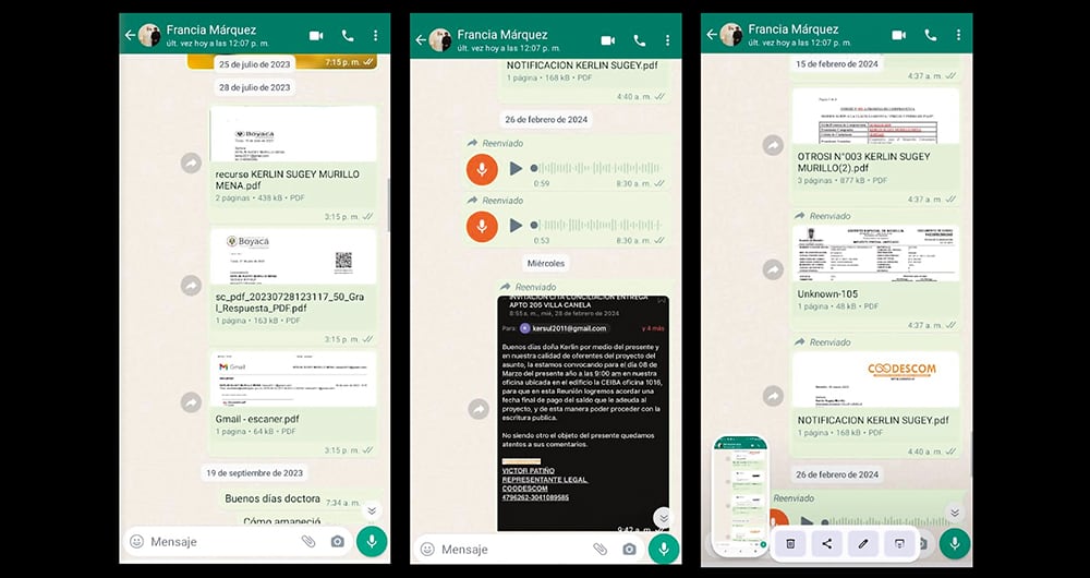 El caso de Kerlin llegó a la Comisión Interamericana de Derechos Humanos (CIDH) y ella aseguró que habló con delegados. Según la profesora, el Gobierno nacional reportó que el tema estaba solucionado.