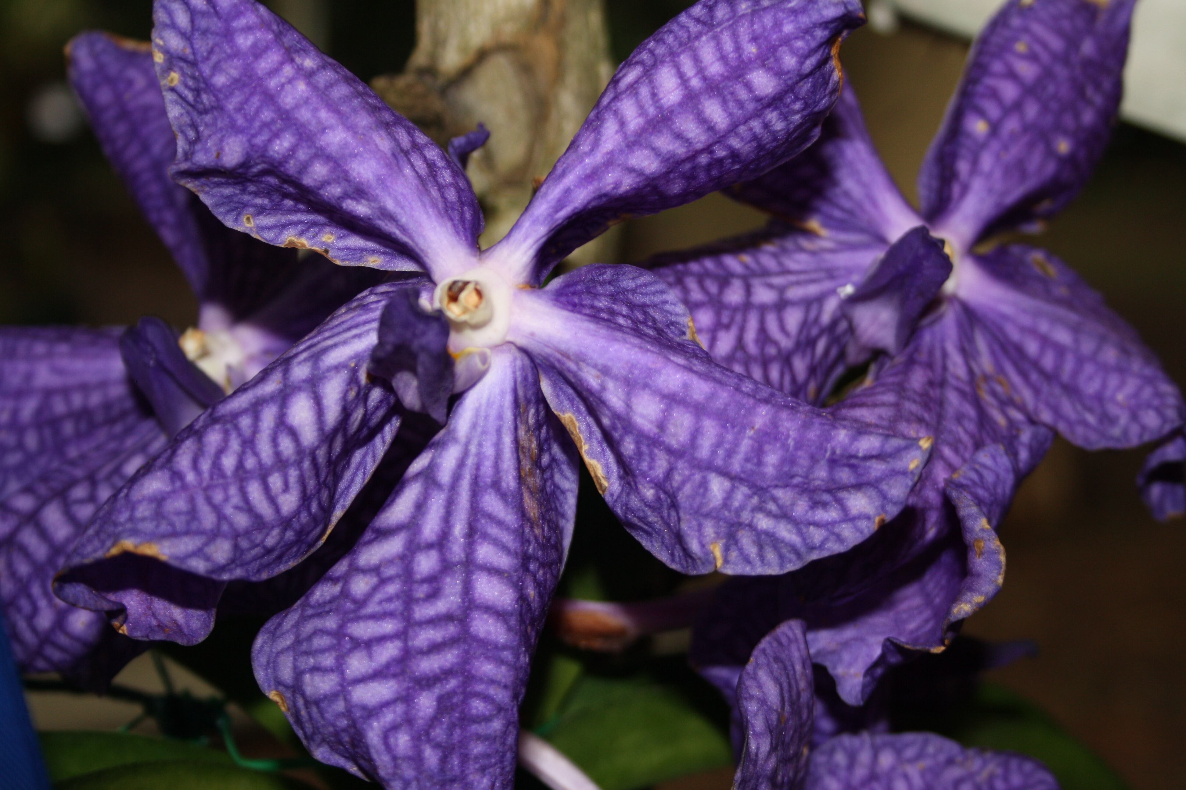 Los expositores vienen de 10 ciudades diferentes de Colombia.