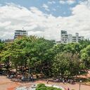 Imagen panorámica del parque Santander de Neiva, ubicado en el centro de la capital huilense e inaugurado por segunda vez en 1940. Desde esa fecha recibe el actual nombre.
