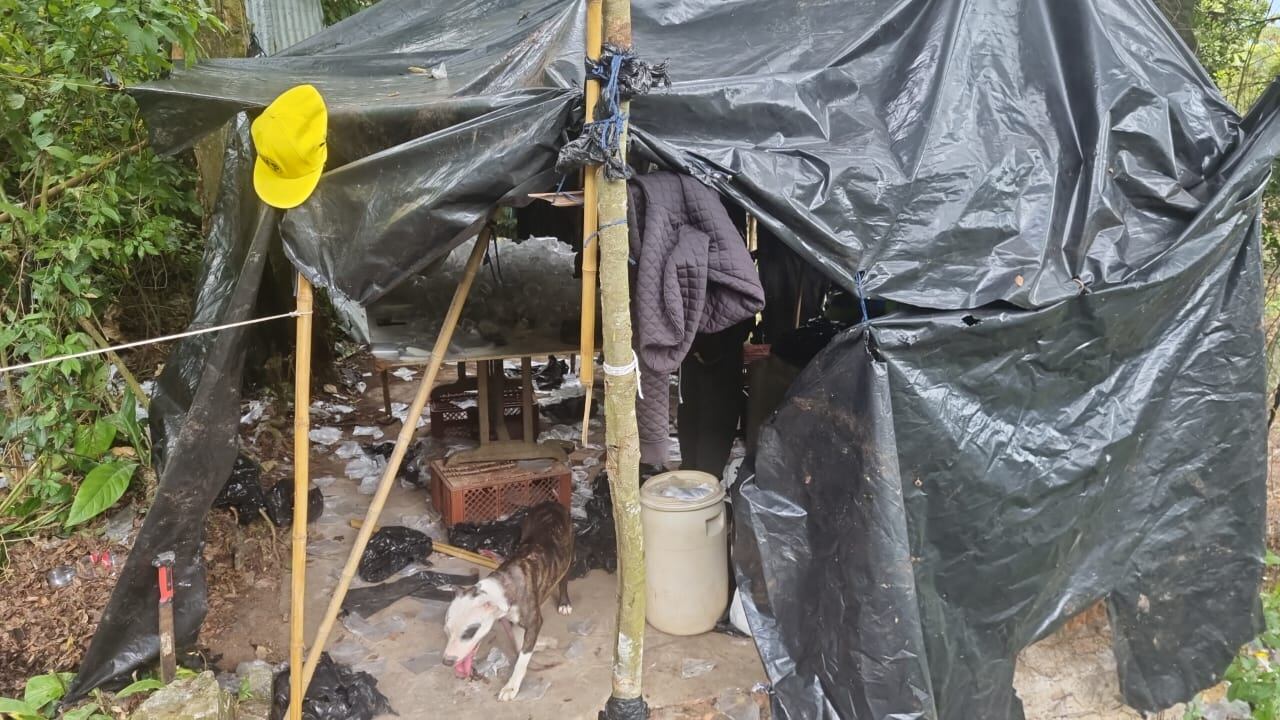 Más de 50 mil dosis de estupefacientes fueron incautadas.