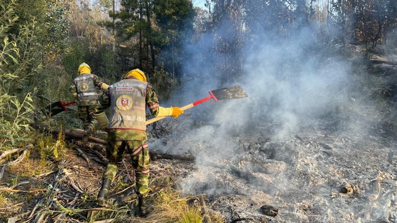 Autoridades controlaron incendio en Tominé
