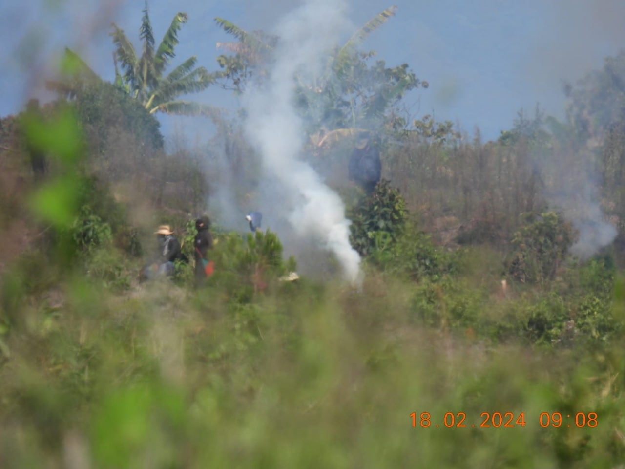 Denuncian invasiones de tierras en el departamento del Cauca.