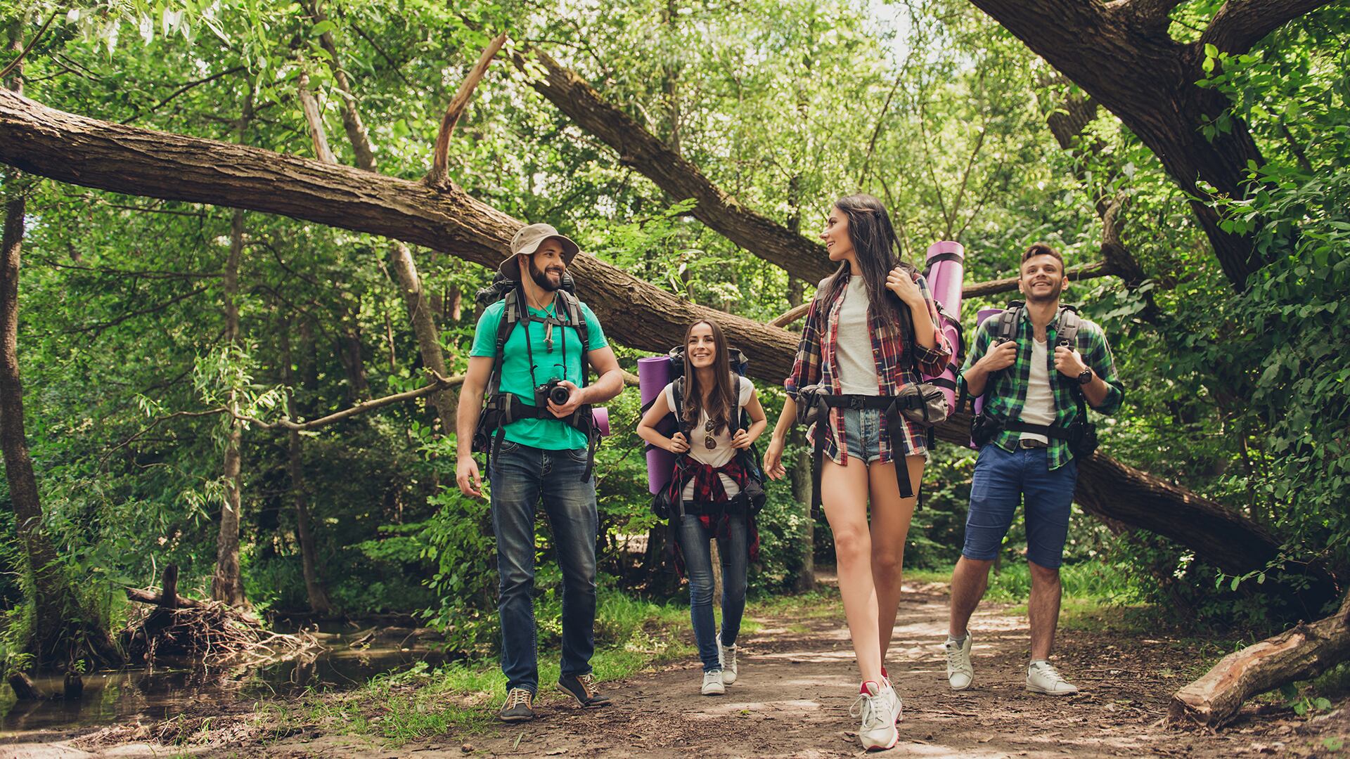 Compensar le apuesta al turismo regenerativo