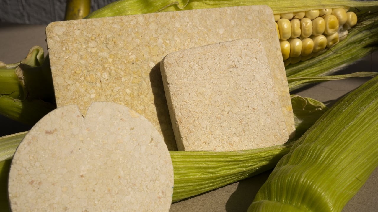 ‘Natuma’ es un proyecto de diseño de la Universidad Jorge Tadeo Lozano que aborda problemáticas ambientales como el desperdicio de residuos agrícolas y la contaminación.