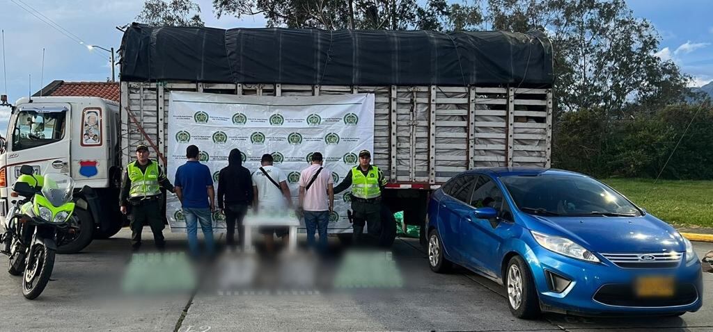 La ketamina estaba oculta en lechugas.