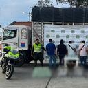 La ketamina estaba oculta en lechugas.