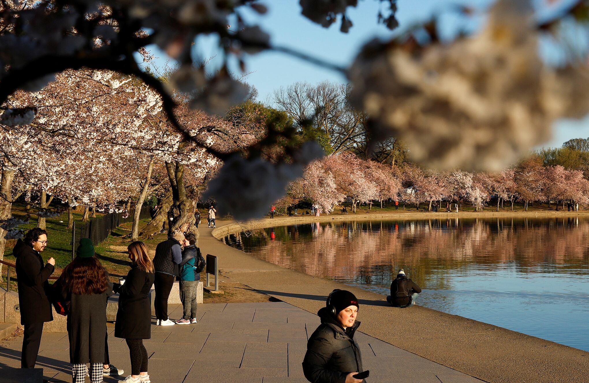 En imágenes : Temporada de flor de cerezo Washington
